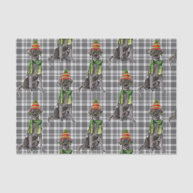 Grey Plaid with a Black Lab Dog Christmas Tissue Paper (Front)