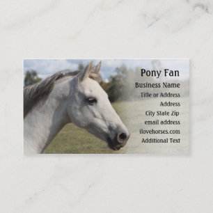 Grey Pony -  Photo Business Card