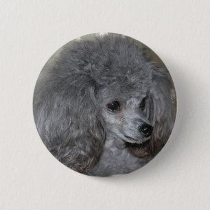 Grey Poodle Button