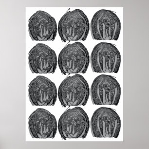 Grey Poster