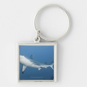 Grey reef shark (Carcharhinus amblyrhynchos) Keychain
