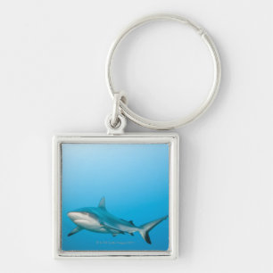 Grey reef sharks (Carcharhinus amblyrhnchos) Keychain