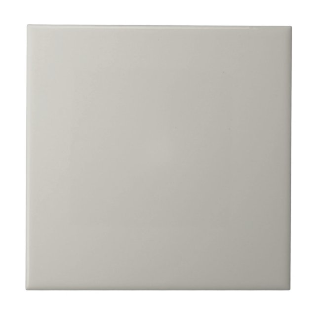 Grey Repose Square Kitchen and Bathroom Tile (Front)
