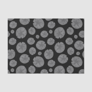 Grey sand dollars on black Halloween Tissue Paper