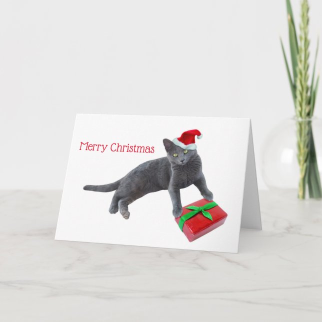 Grey Santa Cat with Present Christmas Card (Front)