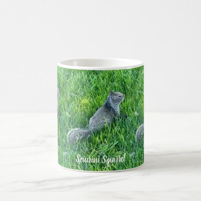 Grey Sciurini Magic Mug (Center)