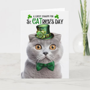 Grey Scottish Fold Lucky Charm St CATrick's Day Holiday Card