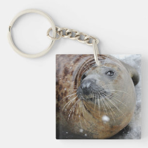 Grey Seal on Ice Keychain