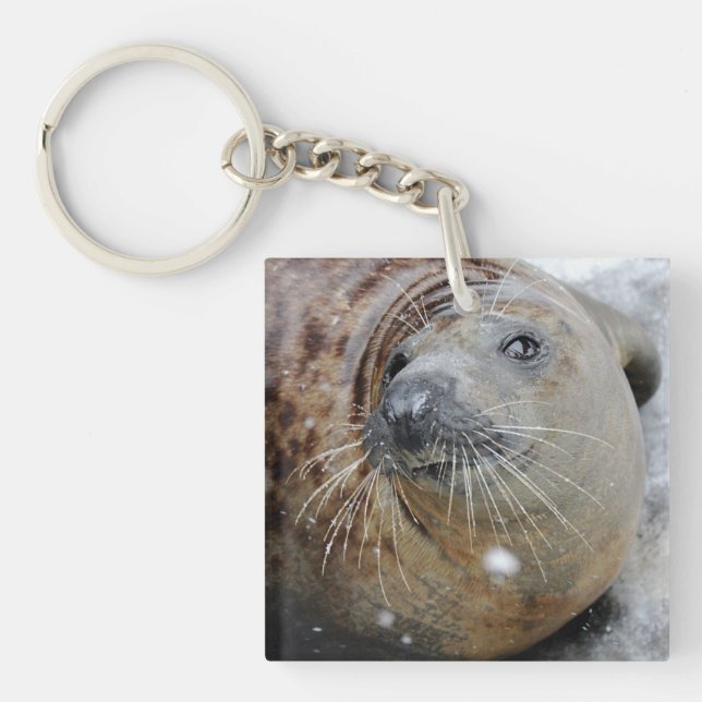 Grey Seal on Ice Keychain (Front)