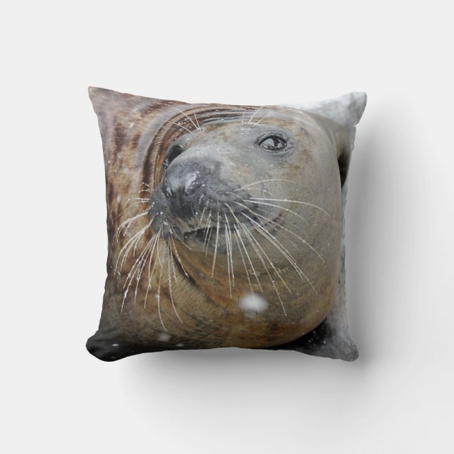 Grey Seal on Ice Throw Pillow (Front)