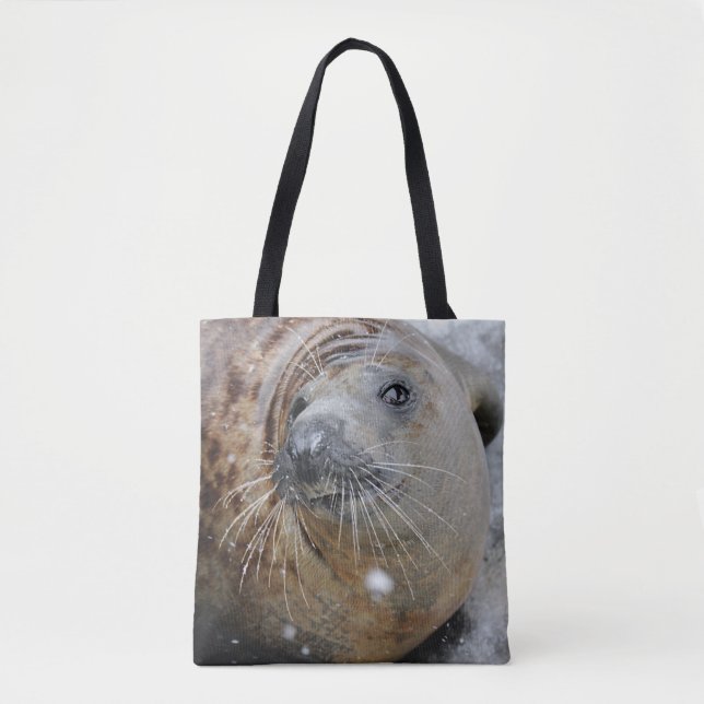 Grey Seal on Ice Tote Bag (Front)