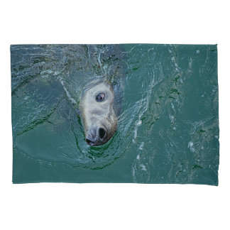 Grey Seal on Mission Pillowcase