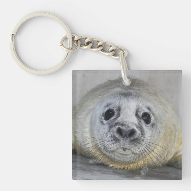 Grey Seal Pup Keychain (Front)