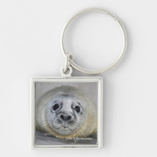 Grey Seal Pup Keychain