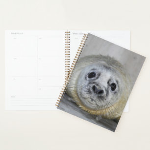 Grey Seal Pup Planner