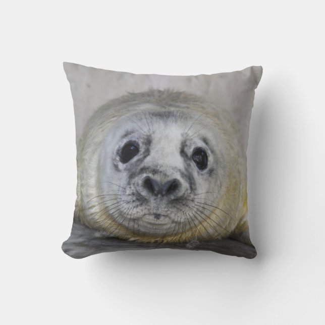 Grey Seal Pup Throw Pillow (Front)