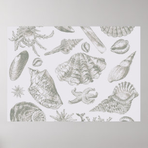 Grey Seashell Art Print Pattern Beachy