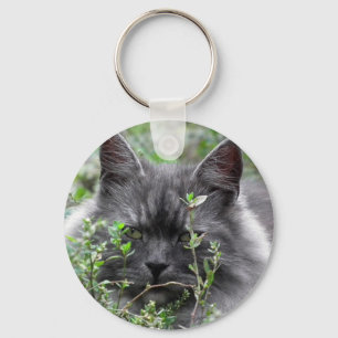 Grey Siberian Kitten Keychain