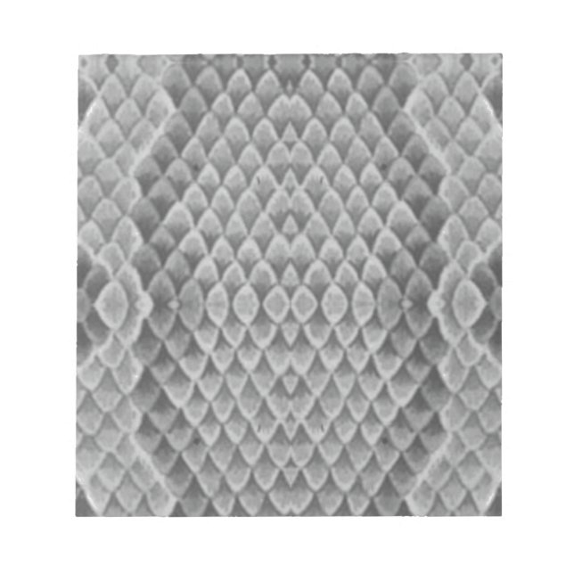 Grey Snakeskin Notepad (Front)