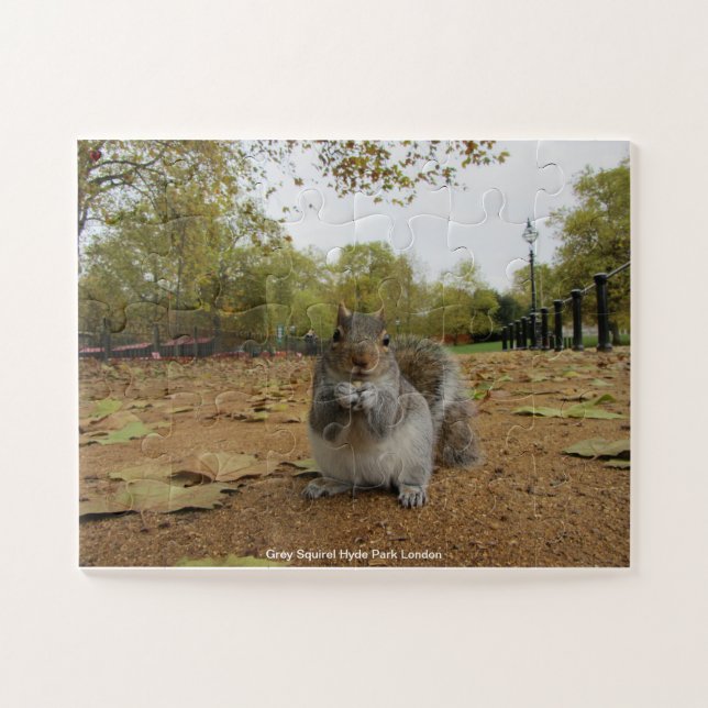 Grey Squirel Hyde Park London Jigsaw Puzzle (Horizontal)