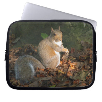 Grey Squirrel 03 Laptop Sleeve