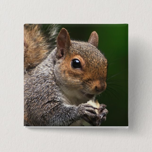 Grey Squirrel 2 Inch Square Button (Front)