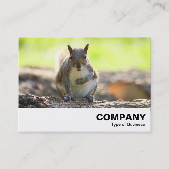 Grey Squirrel Business Card (Front)