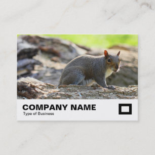 Grey Squirrel Business Card