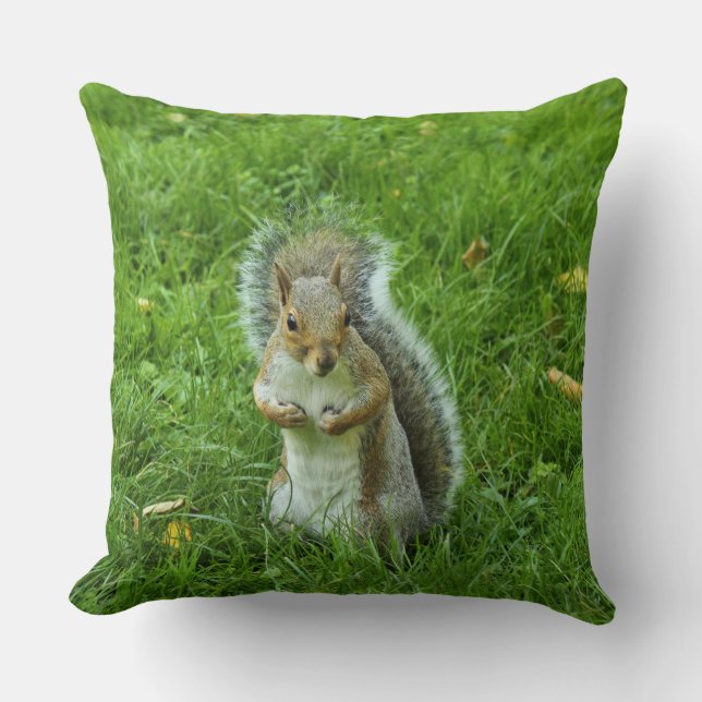 Grey Squirrel, Bute Park, Cardiff Throw Pillow (Front)