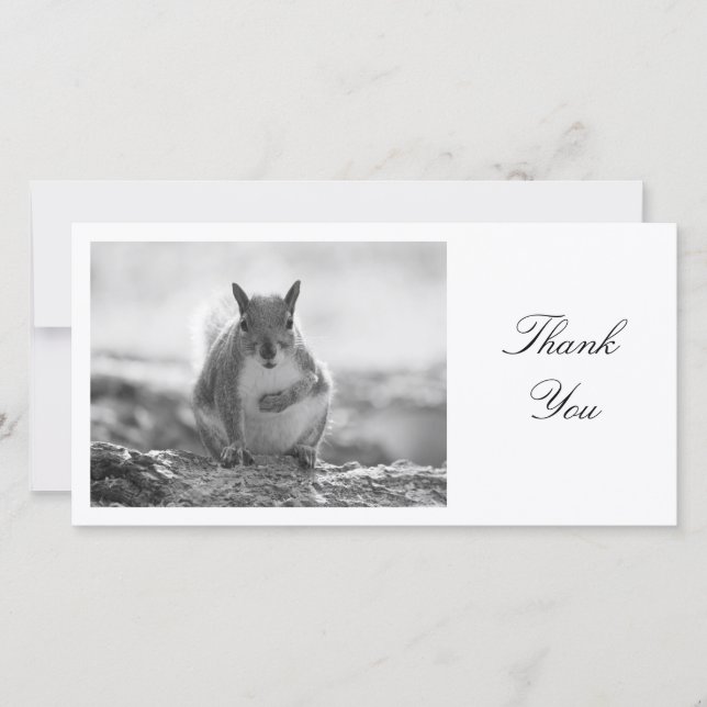 Grey Squirrel BW - Thank You (Front)