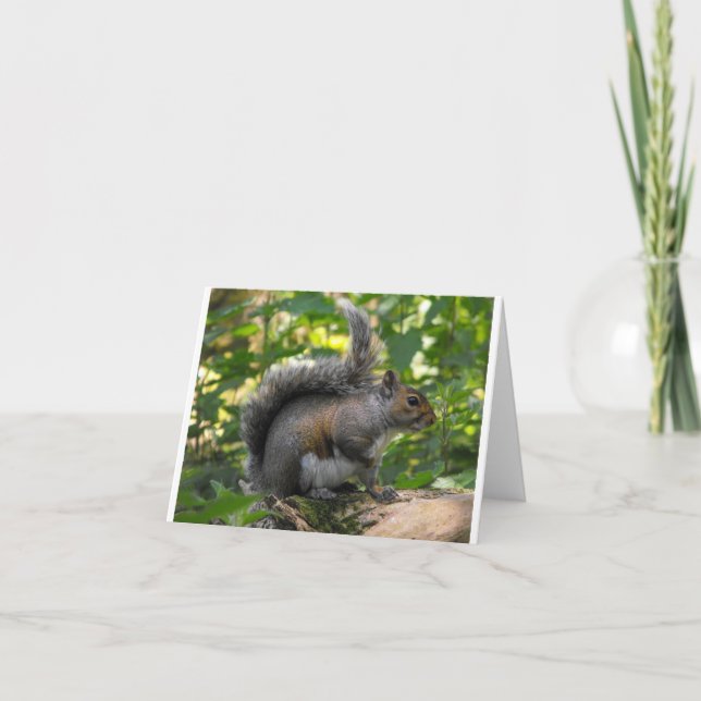 Grey Squirrel Card (Front)