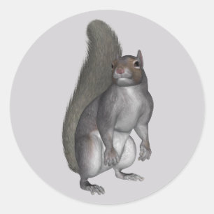 Grey Squirrel Classic Round Sticker