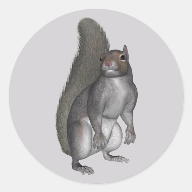 Grey Squirrel Classic Round Sticker (Front)