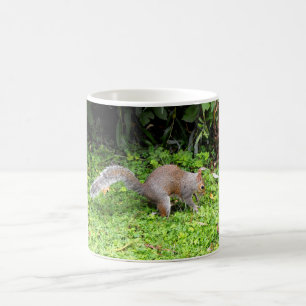 Grey squirrel coffee mug