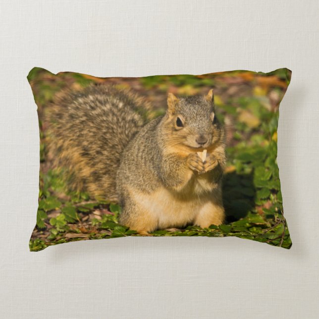 Grey Squirrel, eating, peanut, Crystal Springs Decorative Pillow (Front)