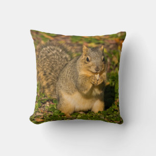 Grey Squirrel, eating, peanut, Crystal Springs Throw Pillow