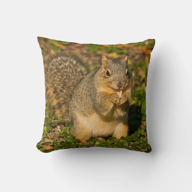 Grey Squirrel, eating, peanut, Crystal Springs Throw Pillow (Front)