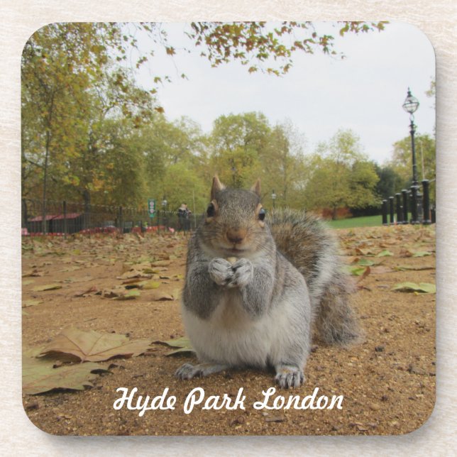 Grey Squirrel Hyde Park London. Coaster (Front)