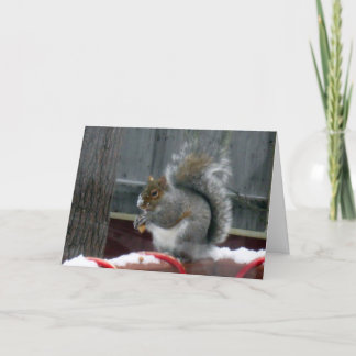 Grey Squirrel in Winter Holiday Card