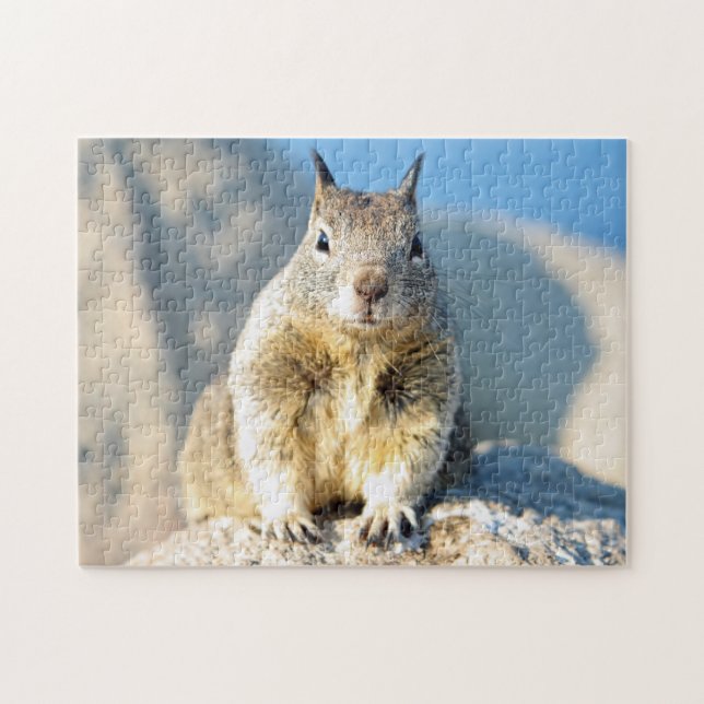Grey squirrel, Monterey Bay, California Jigsaw Puzzle (Horizontal)