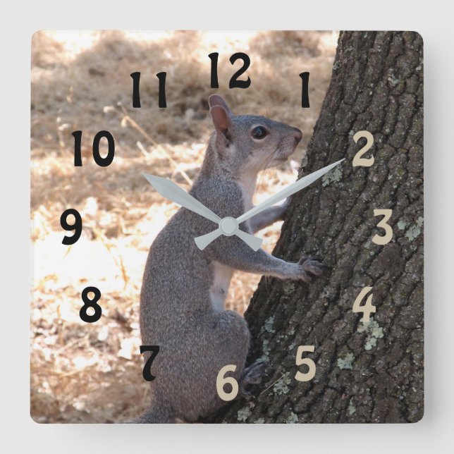 Grey Squirrel Numbered Wall Clock (Front)