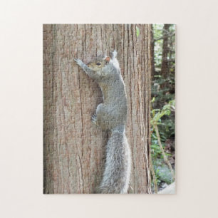 Grey Squirrel on Tree Trunk Jigsaw Puzzle