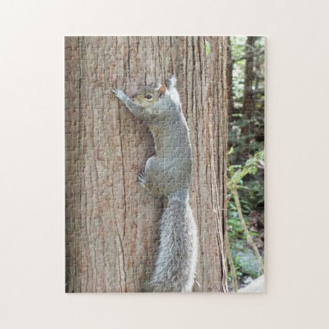 Grey Squirrel on Tree Trunk Jigsaw Puzzle (Vertical)