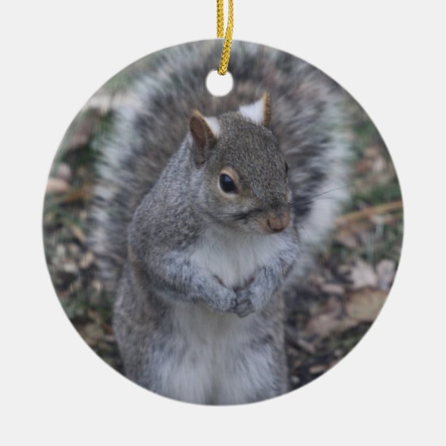 Grey Squirrel ornament (Front)