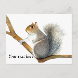 Grey Squirrel Pencil Drawing Artwork Postcard