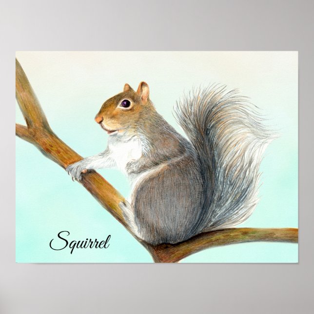 Grey Squirrel Pencil Drawing Artwork Poster (Front)