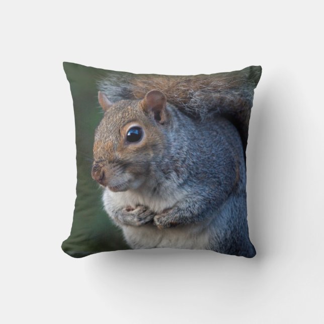 Grey Squirrel Pillow (Front)