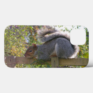 grey squirrel resting original wildlife photo iPhone 13 case