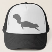 Grey Squirrel Running | Wildlife | Wild Animal