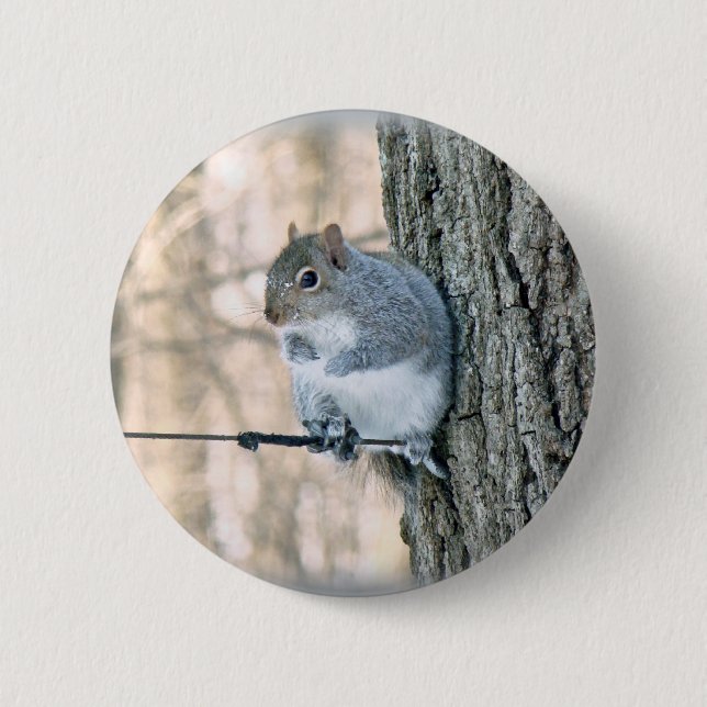 Grey Squirrel - Sciurus carolinensis 2 Inch Round Button (Front)
